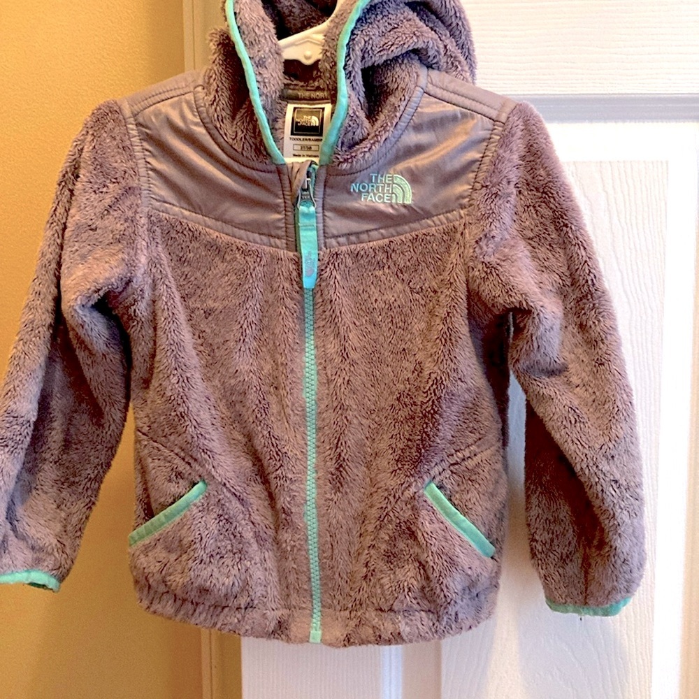 The North Face front zipper closure hoodie sweater